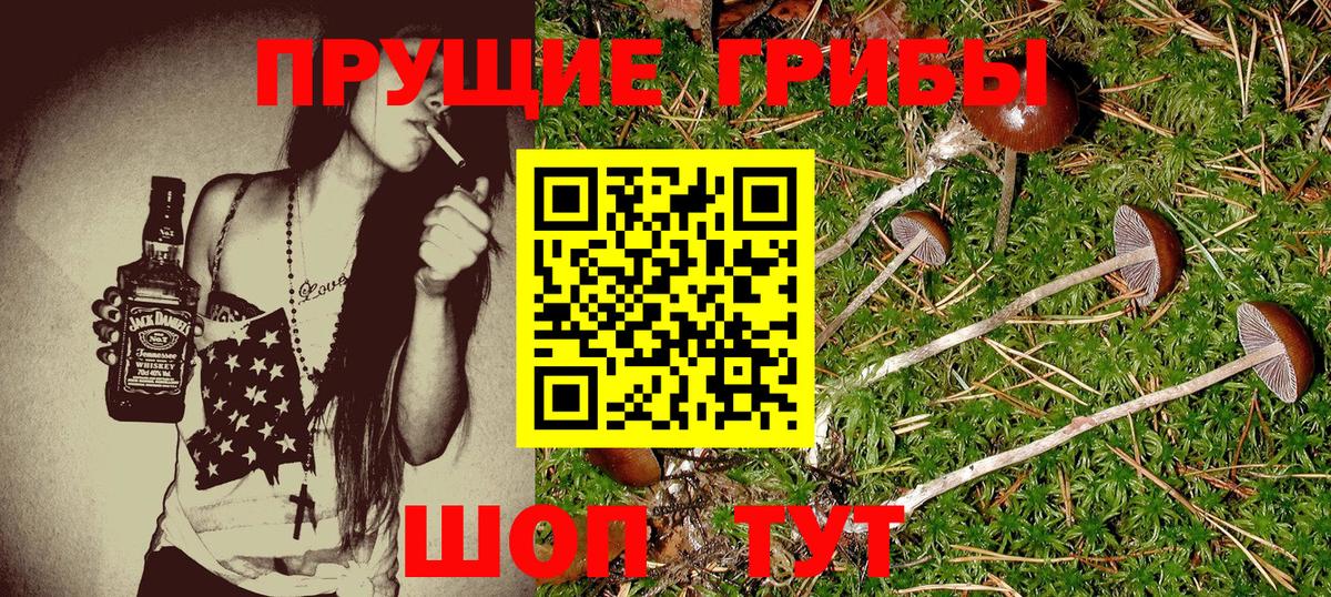 Галлюциногенные грибы прущие грибы  Вход с VPN  Пугачёв  Галлюциногенные грибы Psilocybe 