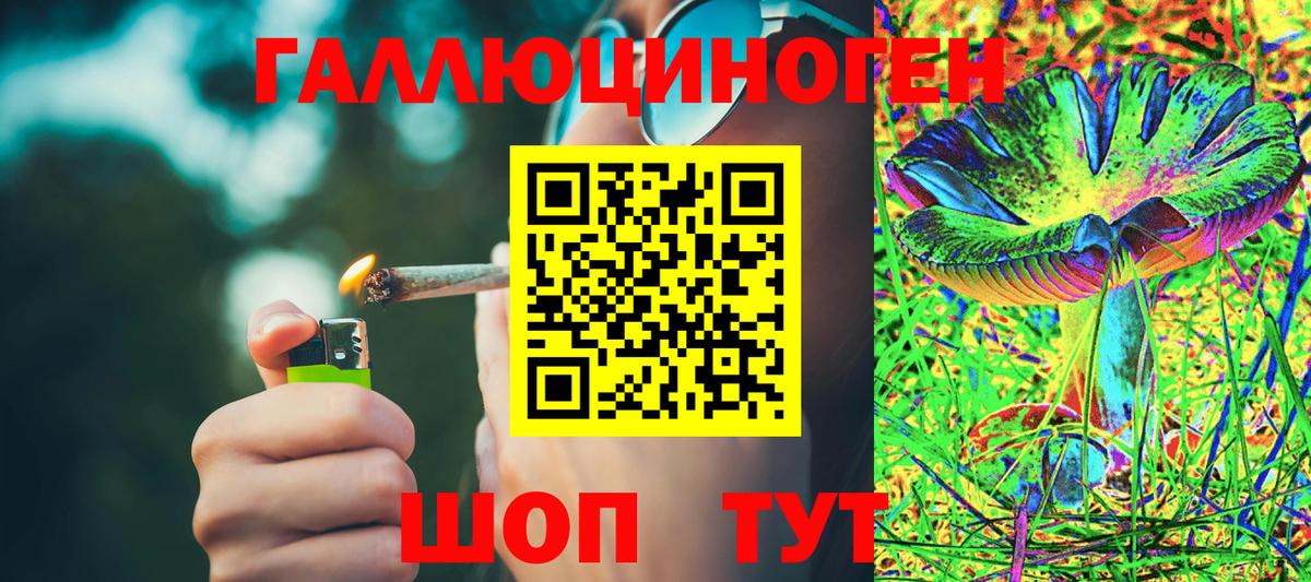 Галлюциногенные грибы ЛСД Пугачёв